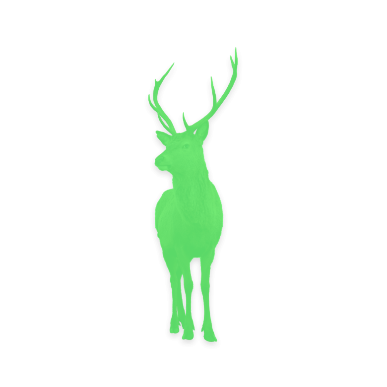 Deer Logo Image